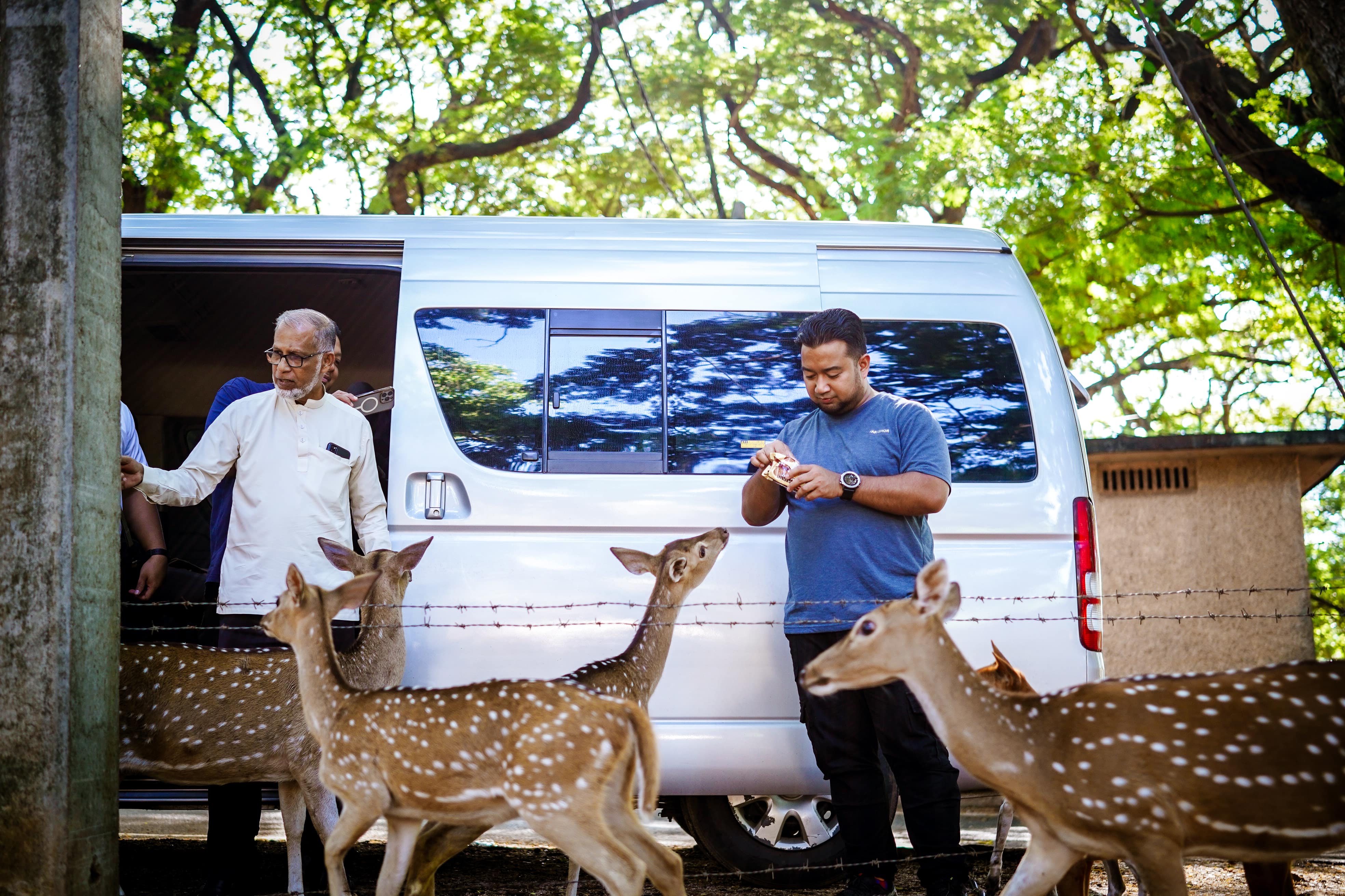 Destination Image 26